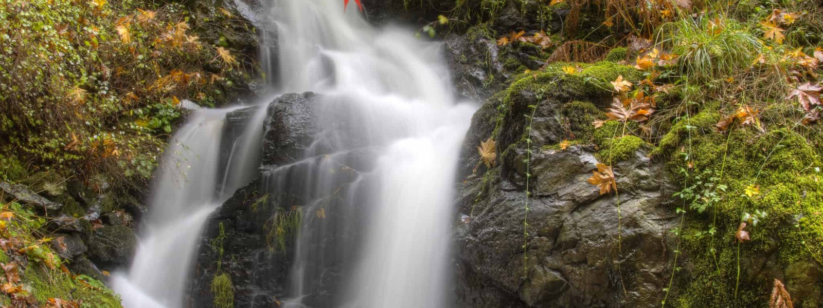 DFH Real Estate Charity & Giving Back  